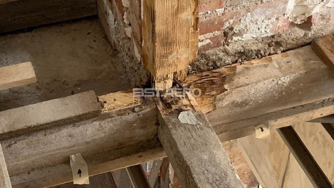 comment enlever une odeur d'urine de chat dans une maison