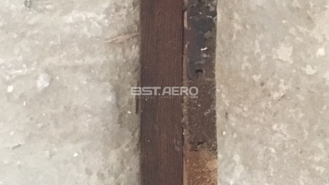 d&eacute;g&acirc;t odeur urine de chats