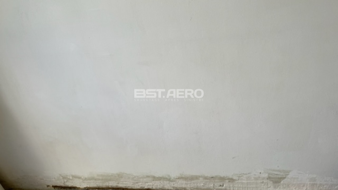 m&eacute;thode pour enelver urine de chat 