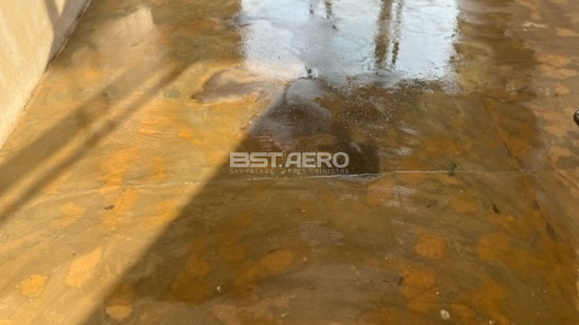 comment traiter une odeur de cadavre