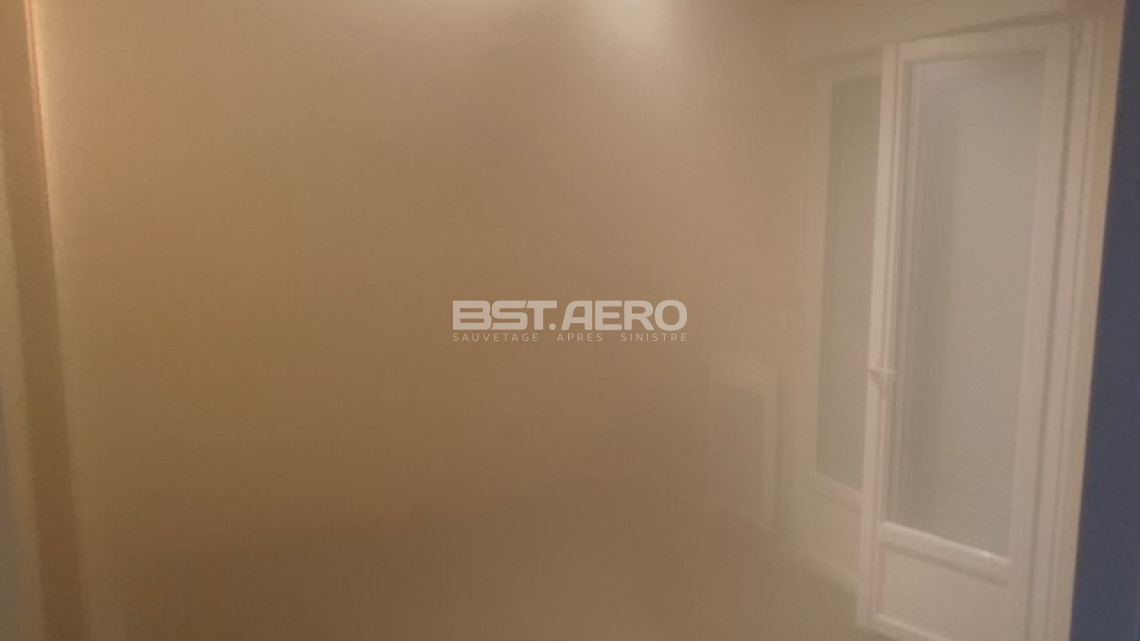 odeur cadavre qui ne part pas 