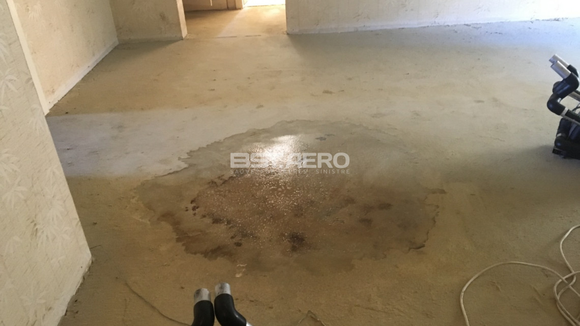 odeur d&eacute;couverte tardive mort dans un logement