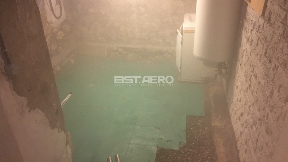 urgence : odeur de pipi de chat dans une maison