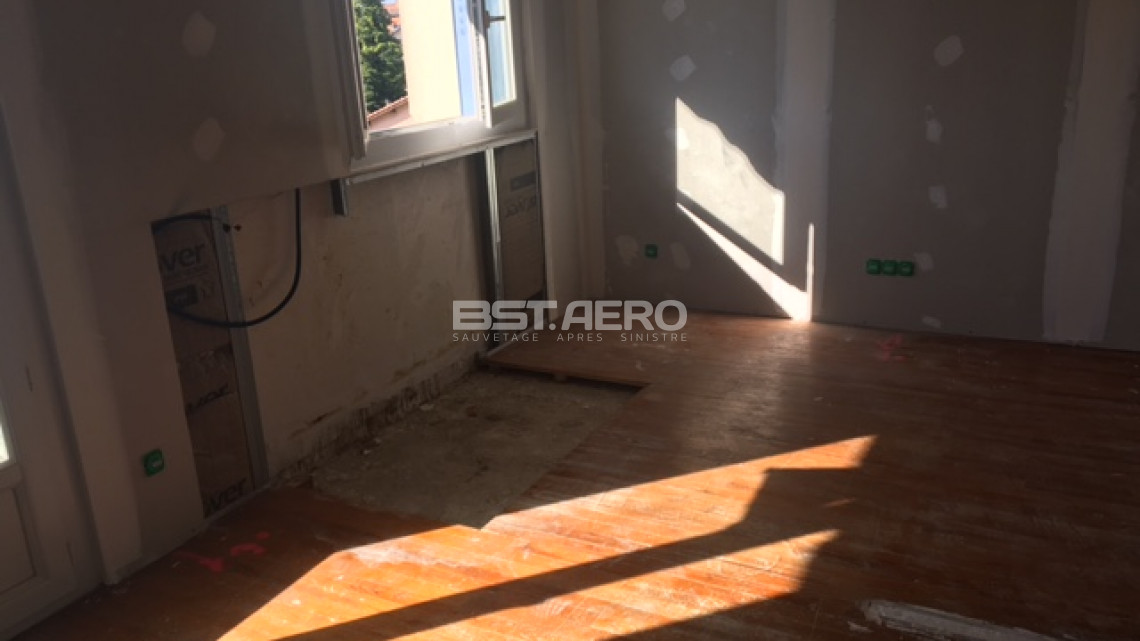 Comment enlever des odeurs d'urine de chats 