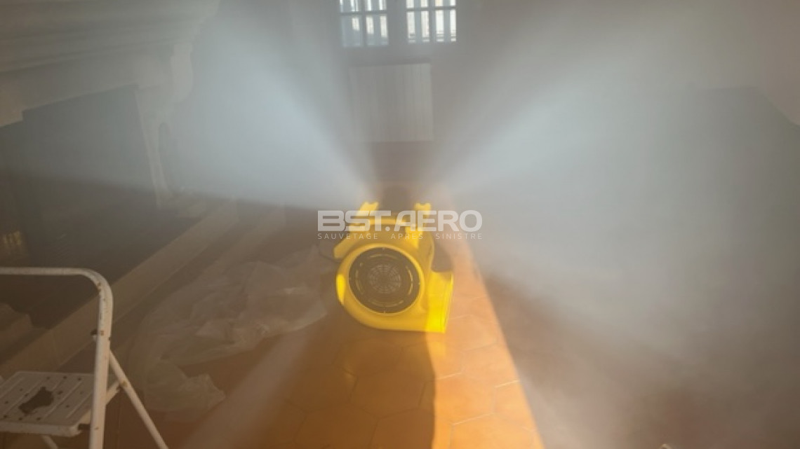 soci&eacute;t&eacute; qui enleve les odeurs de cadavre