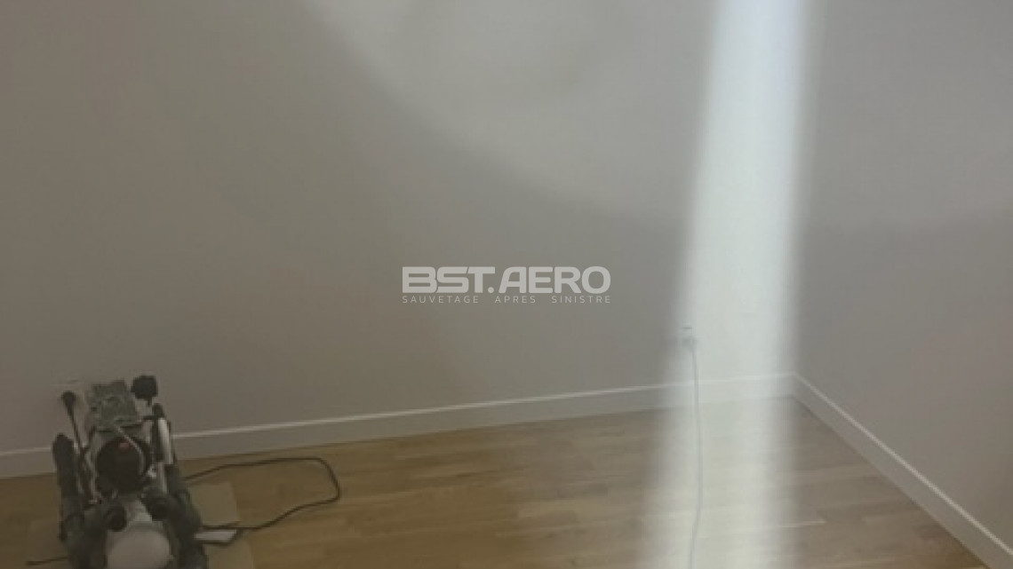 comment enlever definitivement odeur pisse de chat