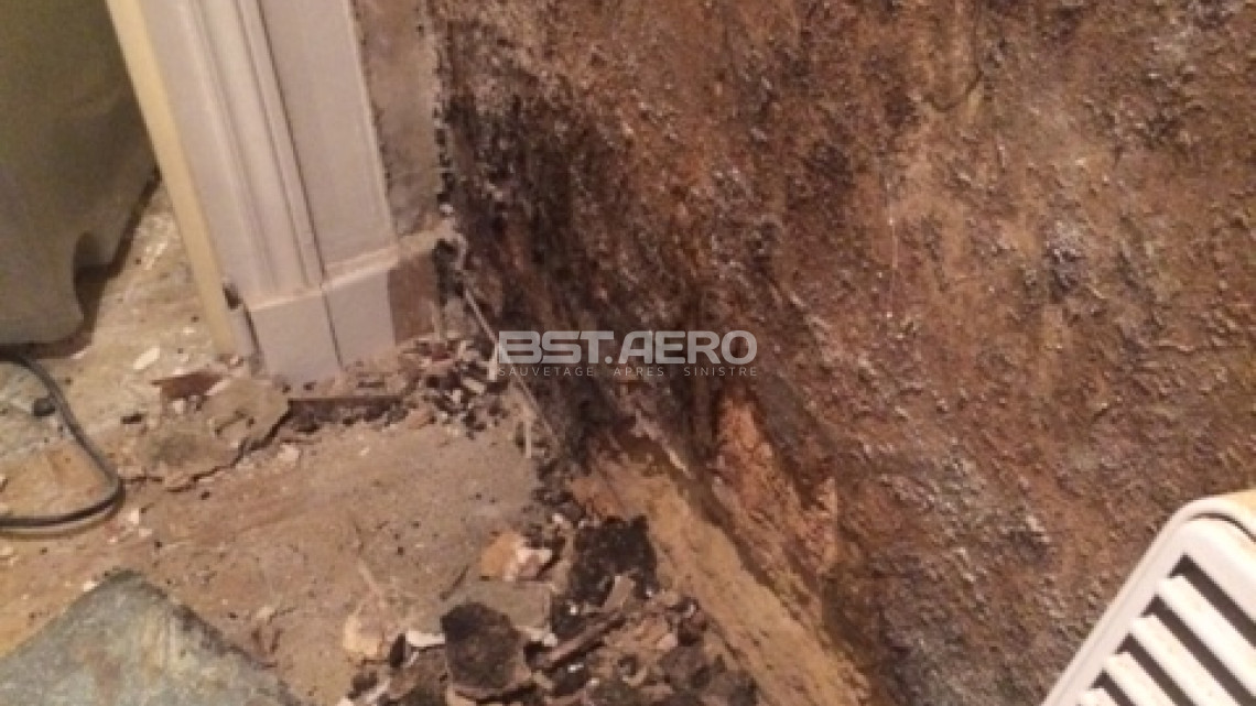 Faut-il nettoyer avant une intervention de destruction d'odeur d'humidit&eacute; ?