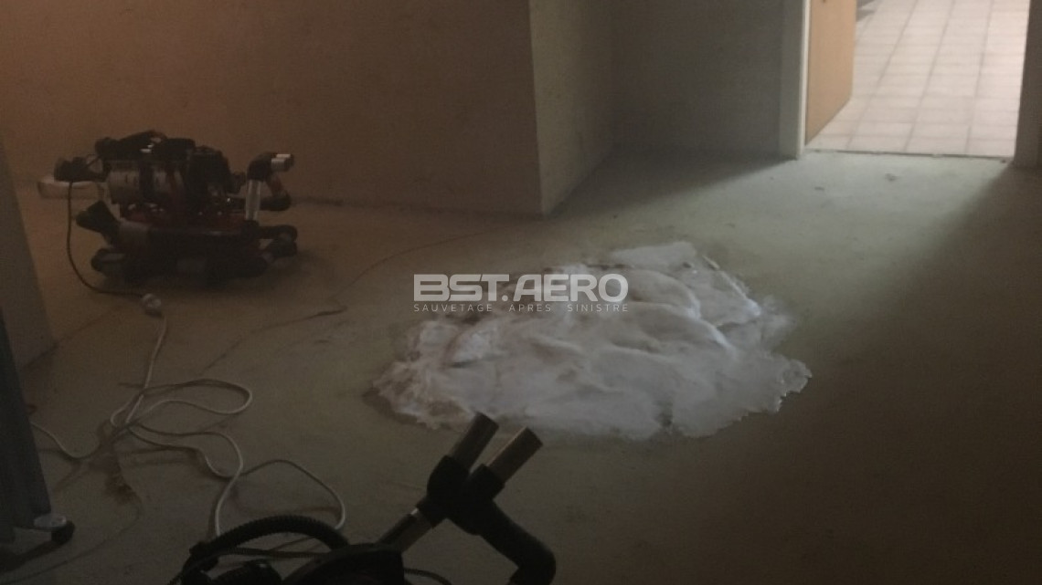 l'odeur de cadavre est elle dangereuse pour la sant&eacute;