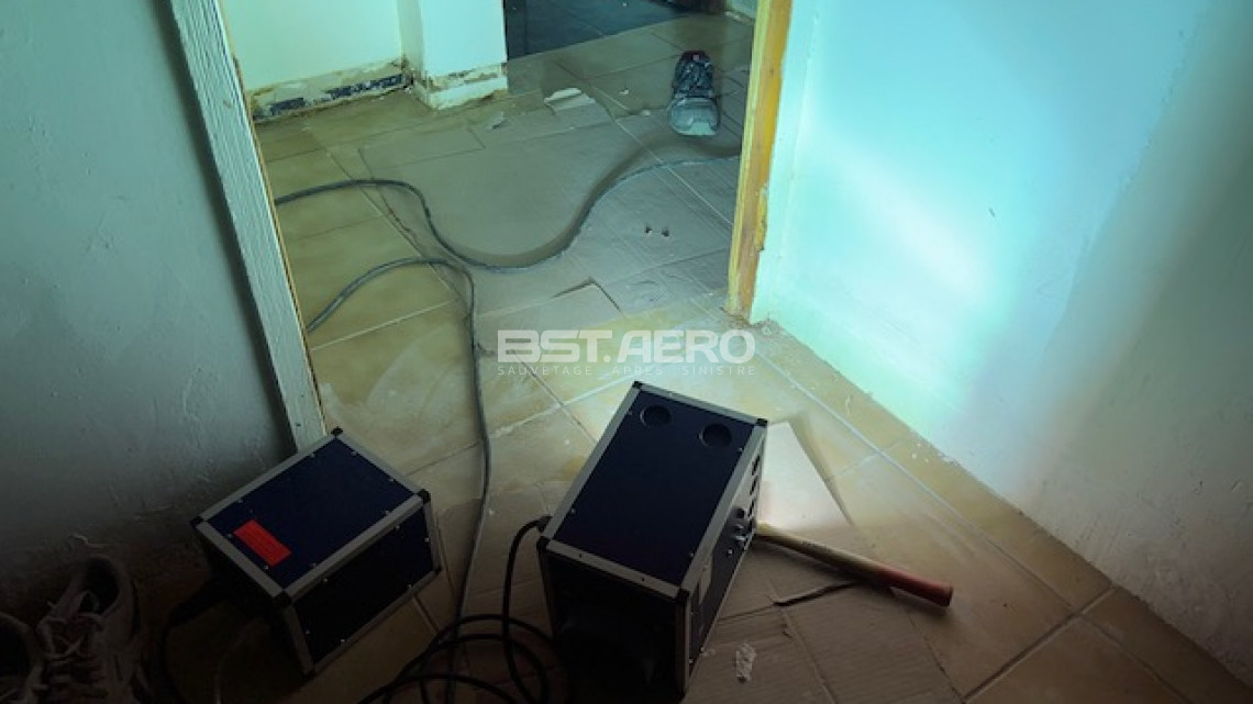 comment enelver odeur pipi de chats