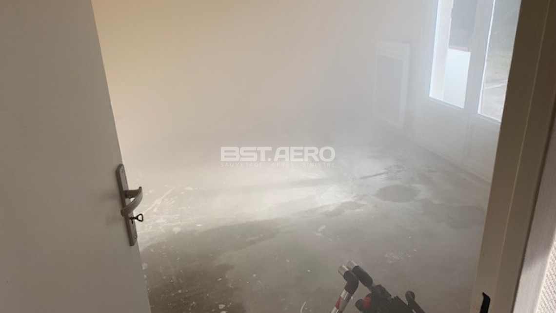 odeur incrust&eacute;e suiite mort dans une maison