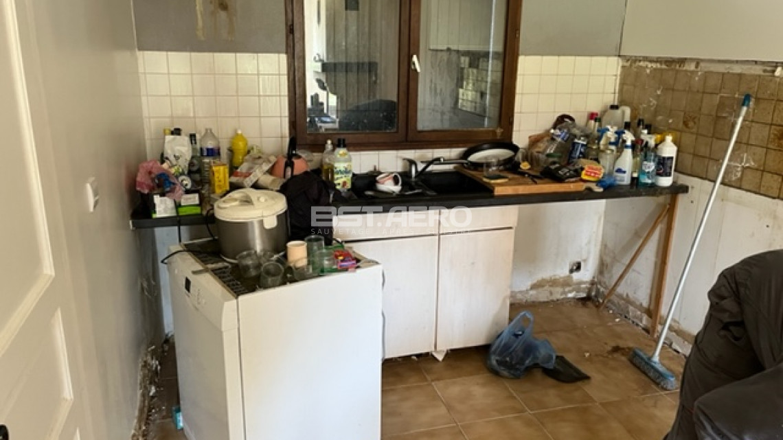 soci&eacute;t&eacute; sp&eacute;cialis&eacute;e dans la destruction des odeurs urune de chats