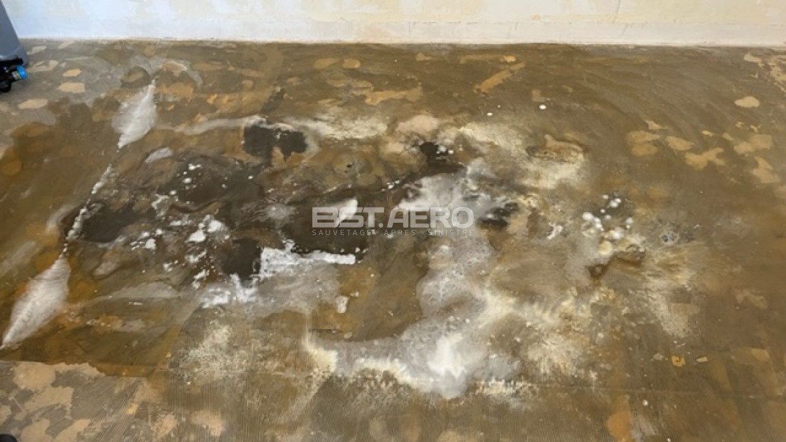 Quand faire appel &agrave; un professionnel pour odeur cadavre