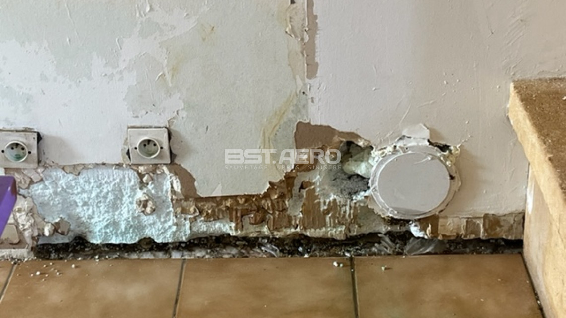 produits effiaces pour enlever odeur pipi de chat