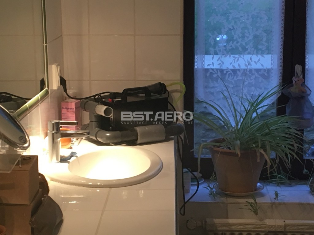Cuisine Et Salle De Bain Smith ~ elimination odeur de rats morts ou autres rongeurs ou carnassiers Cuisine Et Salle De Bain Smith ~ elimination odeur de rats morts ou autres rongeurs ou carnassiers