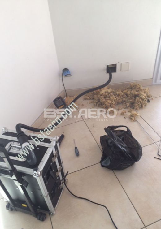 enlever odeur de rat dans plafond