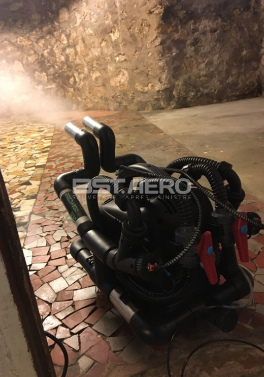 supprimer odeur de chats