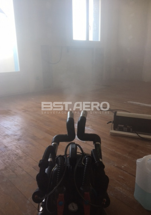 enlever odeur urine de chats