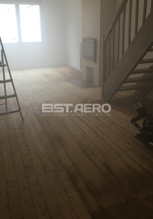 traitement pisse de chat