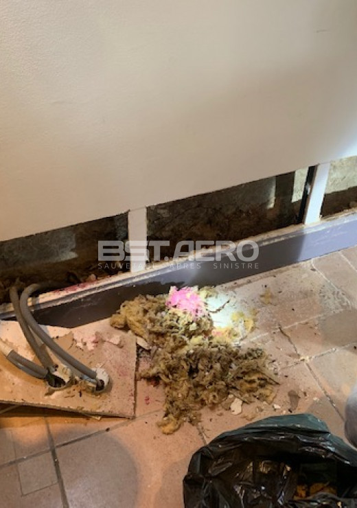 mauvaise odeur dans un mur