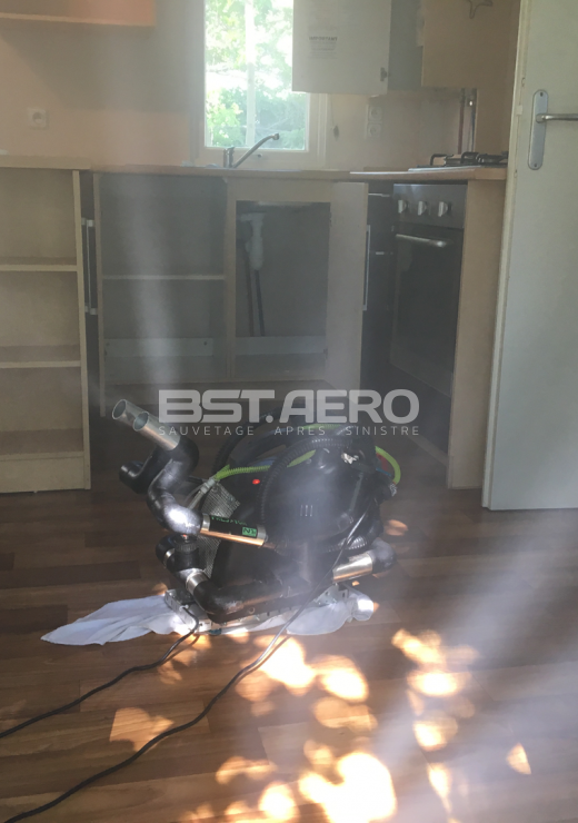 comment enlever une odeur de chat dans une maison