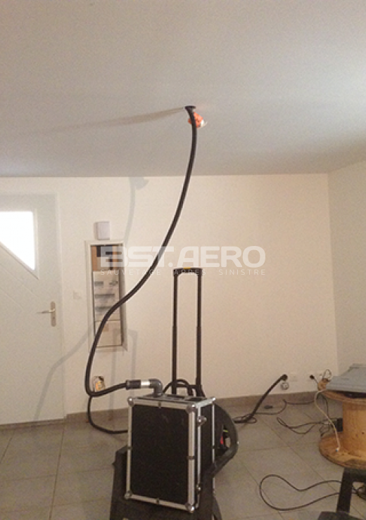 odeur rat dans une maison