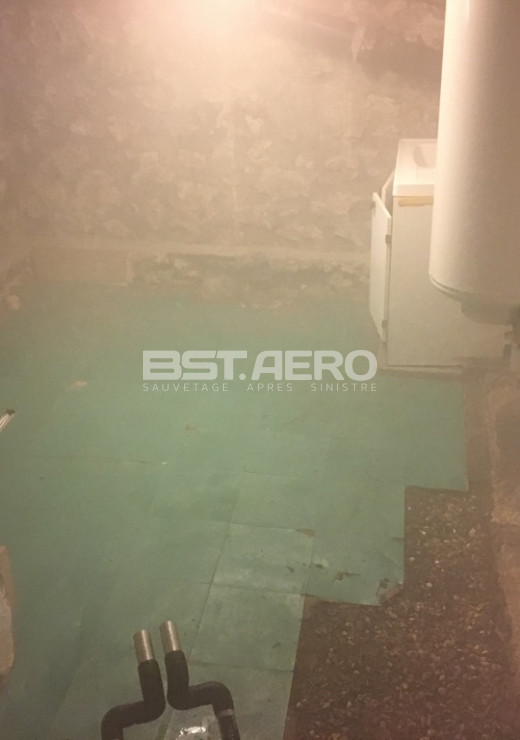 odeur pisse de chats