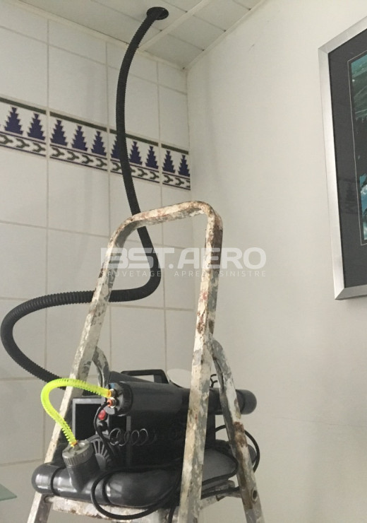 supprimer odeur rongeur dans une maison