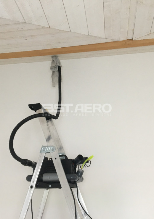 enlever une odeur de mort