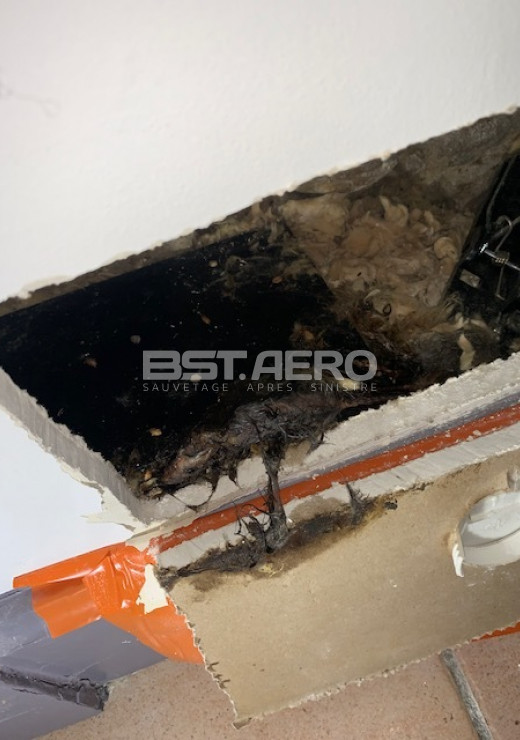 odeur dans une maison