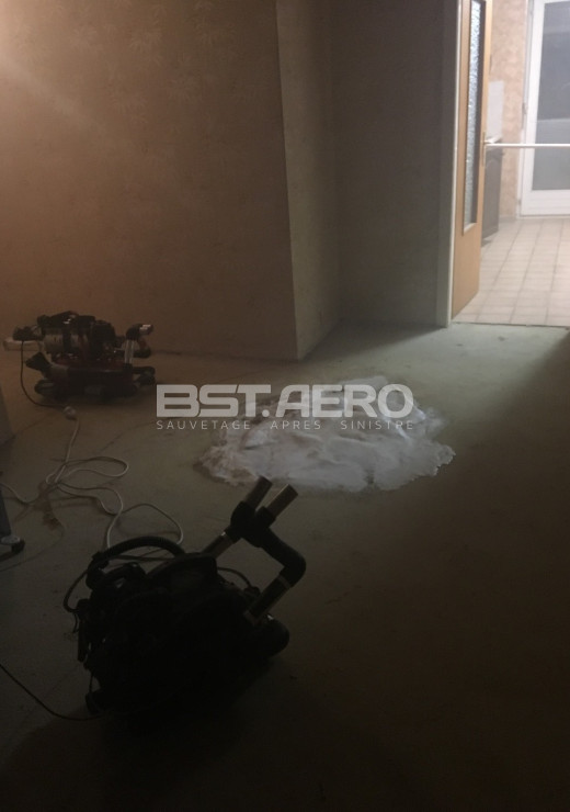 enlever odeur cadavre