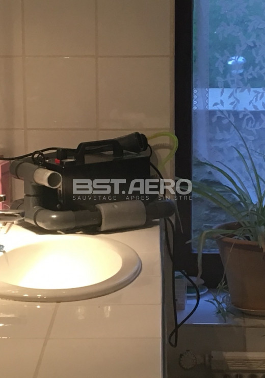 odeur de souris dans une maison