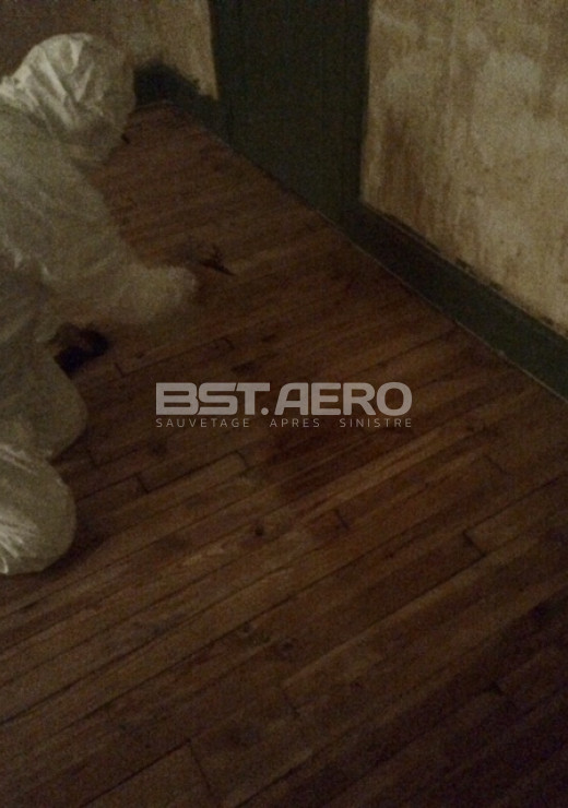 enlever odeur de cadavre