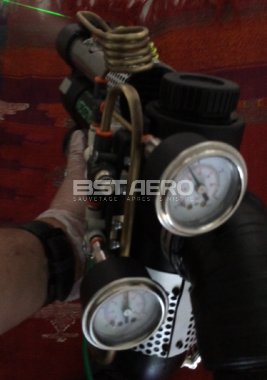 eliminer odeur urine de chat