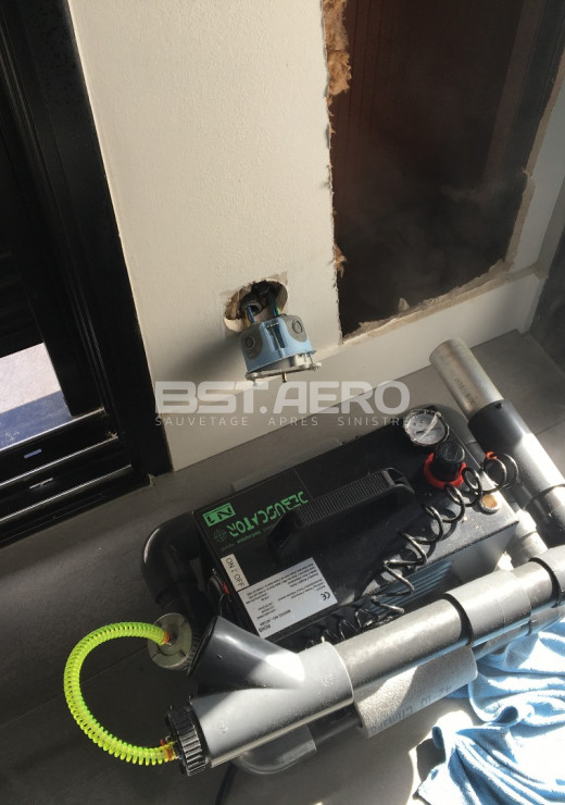 nuisance odeur rats dans une maison