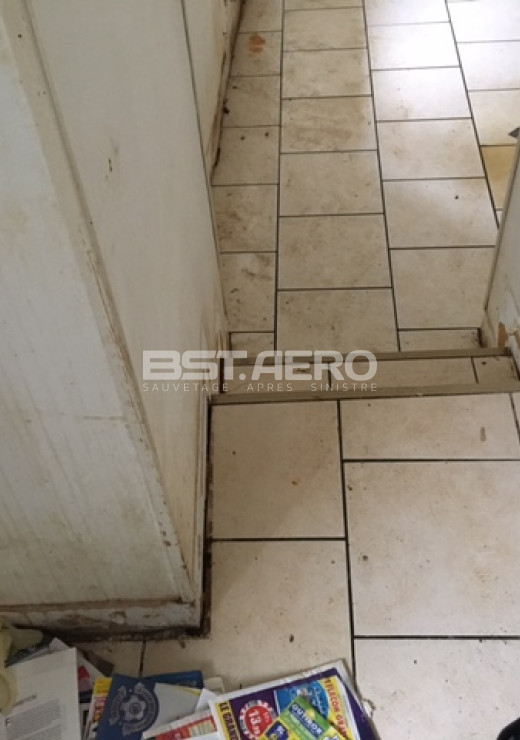 odeur de pipi de chat dans une maison