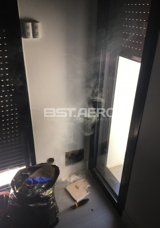 probl&egrave;me odeur rats