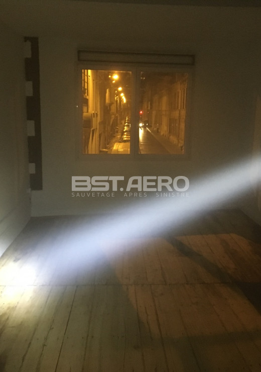 enlever odeur urine de chat