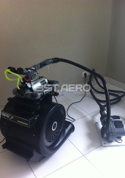 traitement odeur urine de chat