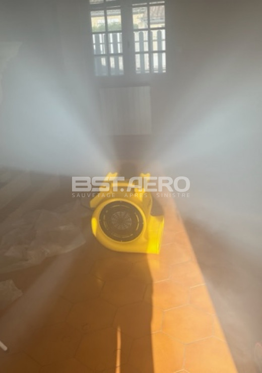 enlever des odeurs de cadavre