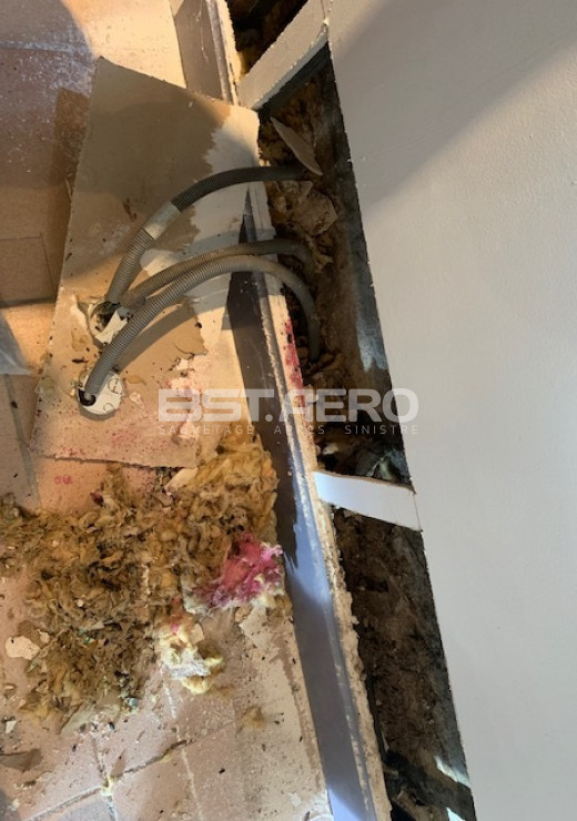 qui peut enlever une odeur