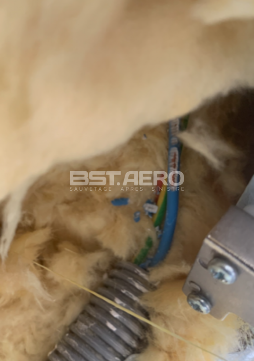 fil &eacute;lectrique rong&eacute; par rat