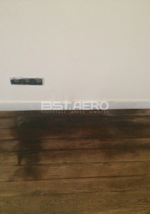 traitement odeur pipi de chat