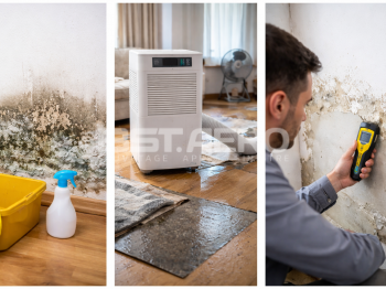 odeurs persisitantes apr&egrave;s inondation