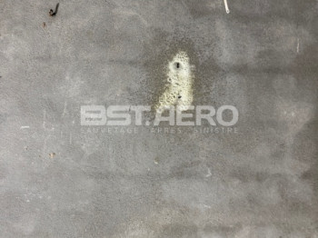odeur nauséabonde urine,excréments, cadavres de rongeurs