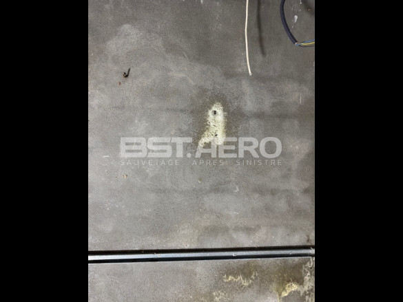 odeur nauséabonde urine,excréments, cadavres de rongeurs