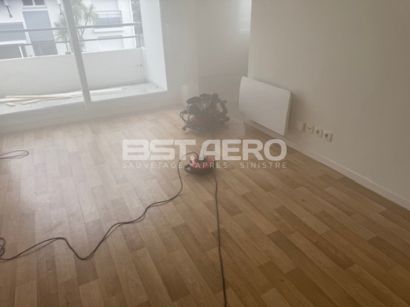Neutralisation odeur post-mortem dans un studio en Bretagne