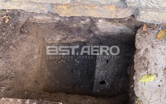 rat dans les murs