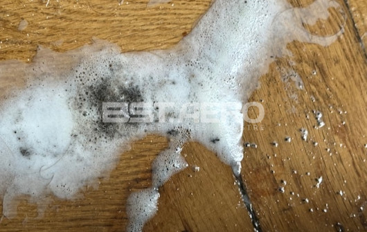 traitement odeur urine de chats